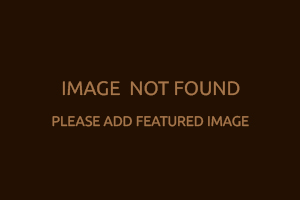 Chinese New Year – The Horse of Fire